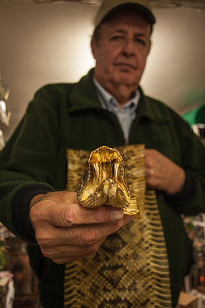 World's Longest Rattlesnake