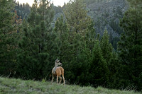 Somewhere in Montana south of Darby
