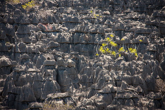 Big Tsingy - Near Antisiranana, Madagascar