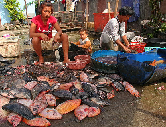 Pangururan, Danu Toba, ID