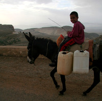 Throughout Tunisia