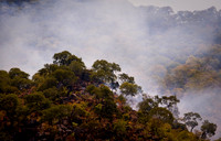 Burning forests - Lilongwe, Malawi