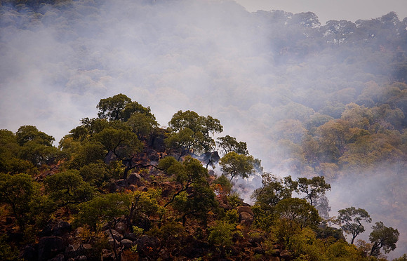 Burning forests - Lilongwe, Malawi