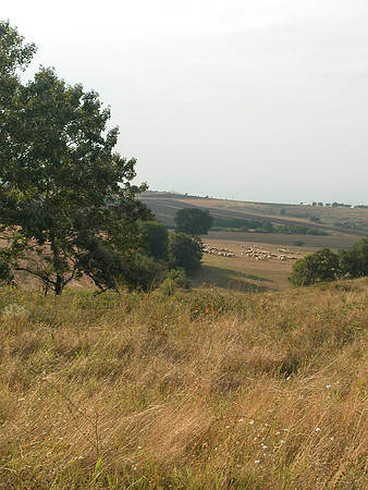 Outside of Peshtera