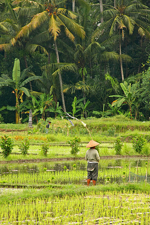 Bali, Indonesia