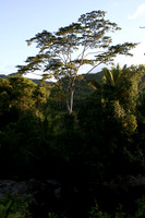 Around Belize