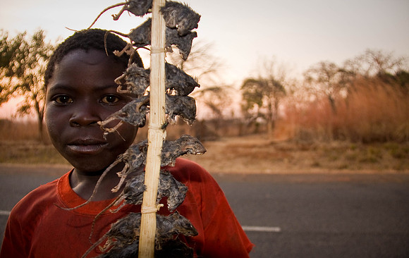 Roadside snacks - Malawi