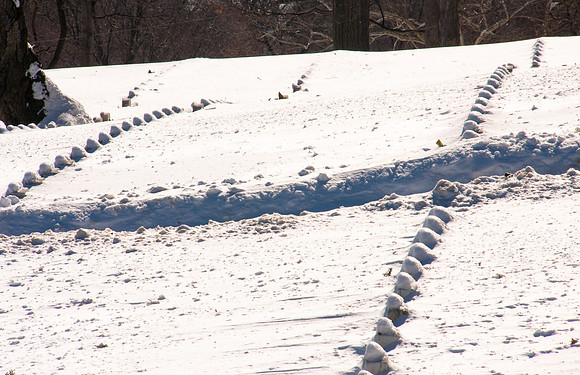 Arlington National Cemetery during Snowmageddon '10