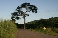 Around Belize