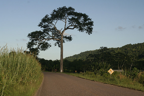 Around Belize