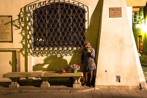 Late night flowers
