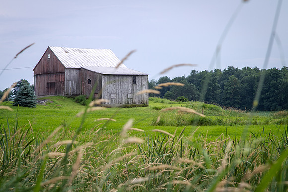 Rural Vermont