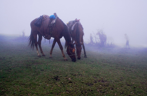 Pacaya Volcan, Guatemala