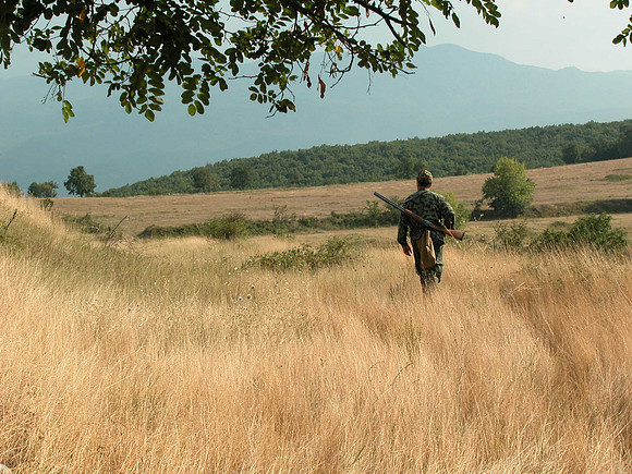 Bird hunter in the afternoon sun