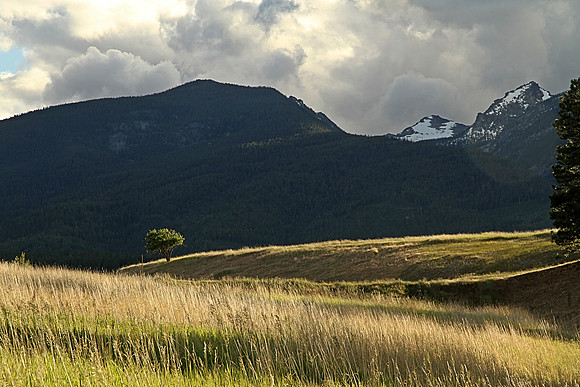 Somewhere in Montana south of Darby