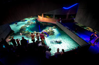 Baltimore Aquarium