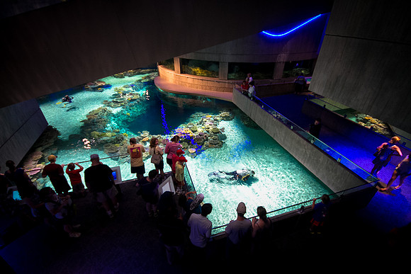 Baltimore Aquarium