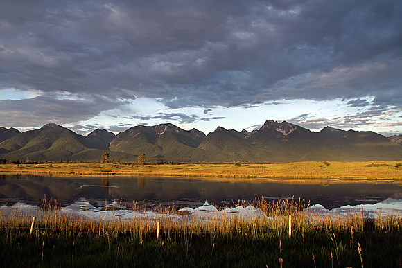 Montana