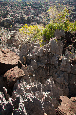 Big Tsingy - Antisiranana, Madagascar