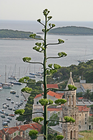 Around Croatia