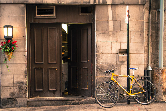 The cooks steed waits patiently