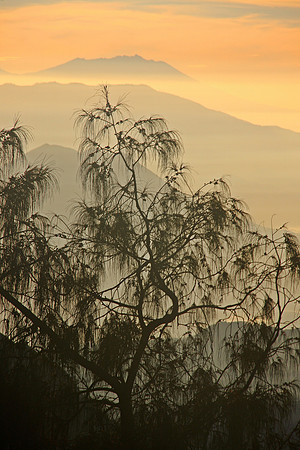 Mount Bromo, Indonesia