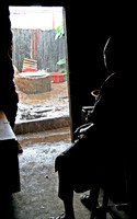 Watching the rain