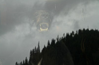 Cloud Bear - Kingston, Idaho