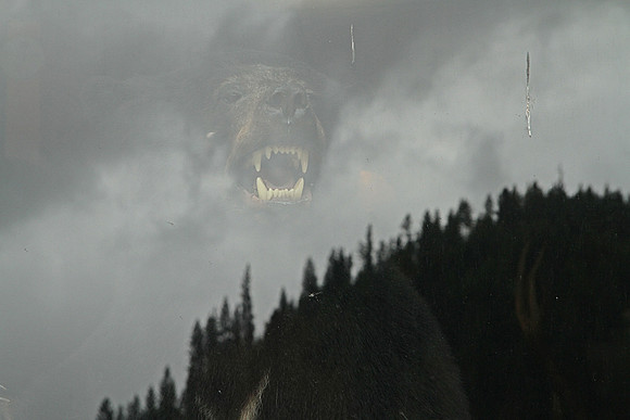 Cloud Bear - Kingston, Idaho