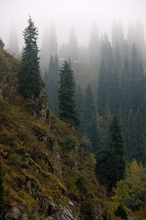 Alatau Mountains, Kazakhstan