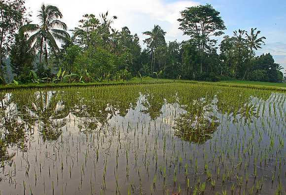 Bali, Indonesia