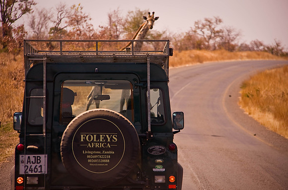 Along the road in Zambia