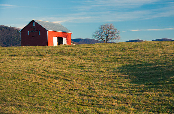 Around Virginia
