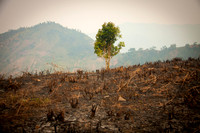 Scorched Earth - Madagascar