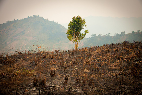 Scorched Earth - Madagascar
