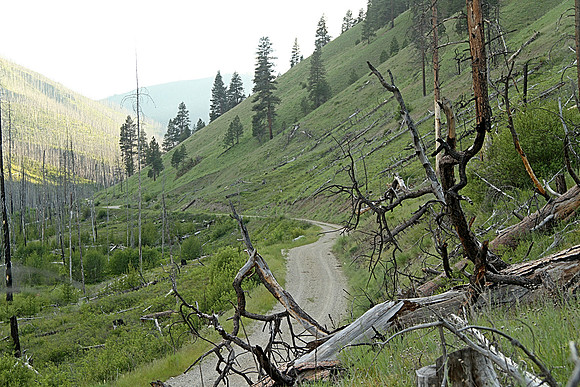 Somewhere in Montana south of Darby