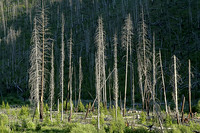 Somewhere in Montana south of Darby