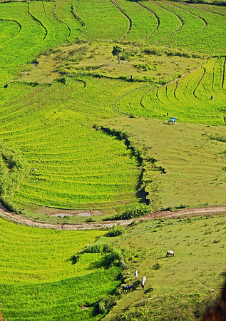 Pangururan, Danu Toba, ID