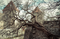 Tallinn, Estonia