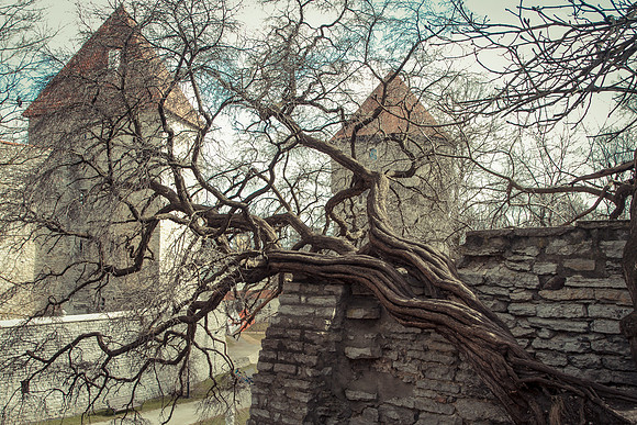 Tallinn, Estonia