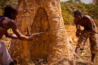 Logging -Lilongwe, Malawi