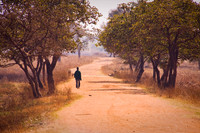 Dusty road - Malawi
