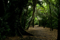 Caracol, Belize