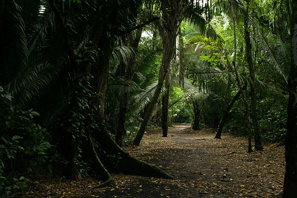 Caracol, Belize
