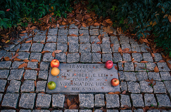 Traveller's Grave