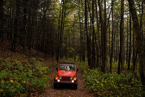 Washington & Jefferson National Forest