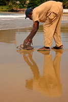 Sea turtle rescue