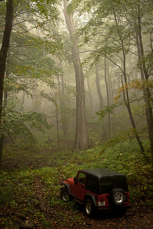 Washington & Jefferson National Forest