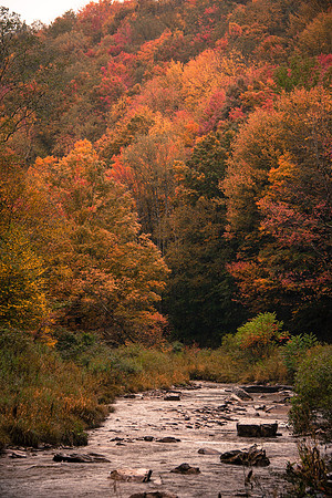 Shenandoah Valley