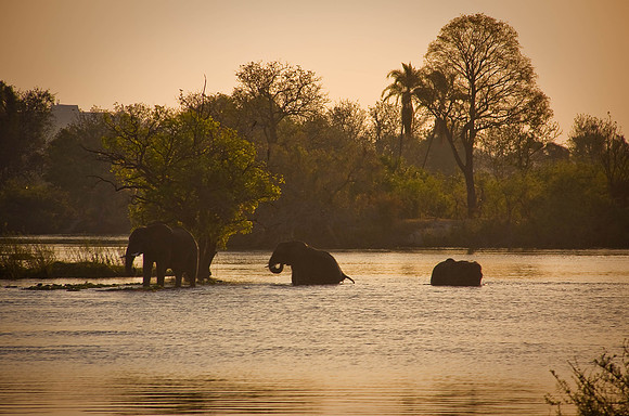 Sunset up river from Victoria Falls